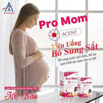 Viên bổ sung sắt PROMON